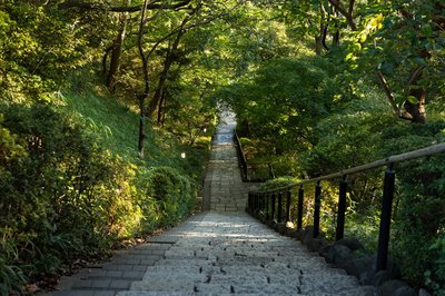 🌳 덴엔초후 물소리 공원(덴엔초후 세세라기 코엔)